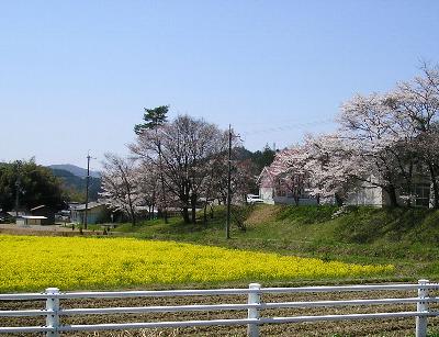 c0072843_18314270.jpg