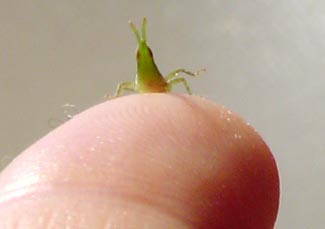 a0037445_21105199.jpg