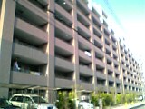 c0069552_2049770.jpg