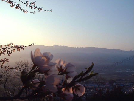 b0015260_11352574.jpg