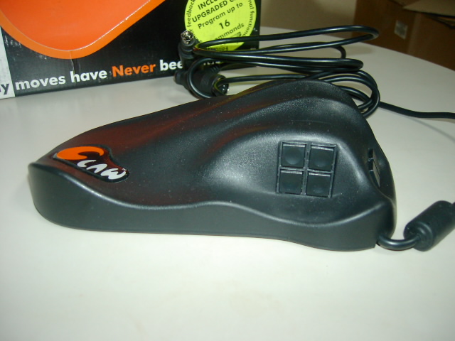 c0004568_14519.jpg