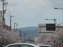 b0039373_2043886.jpg