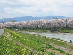 b0039373_2085366.jpg