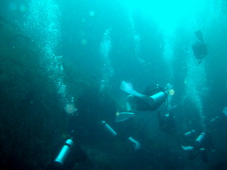 a0002177_11484625.jpg