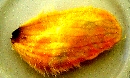 d0020685_17111257.jpg