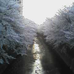 c0041592_13373781.jpg