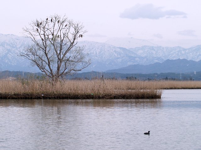 c0008502_28314.jpg