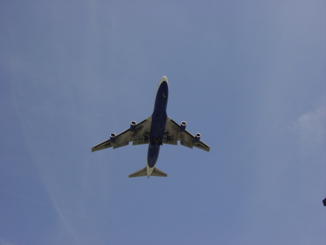 c0048504_14305845.jpg