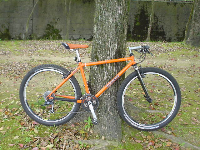 c0070609_17505595.jpg