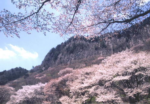 b0051713_13472850.jpg