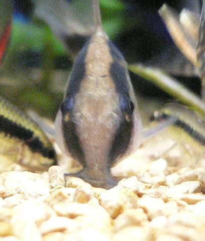 c0069444_1736235.jpg