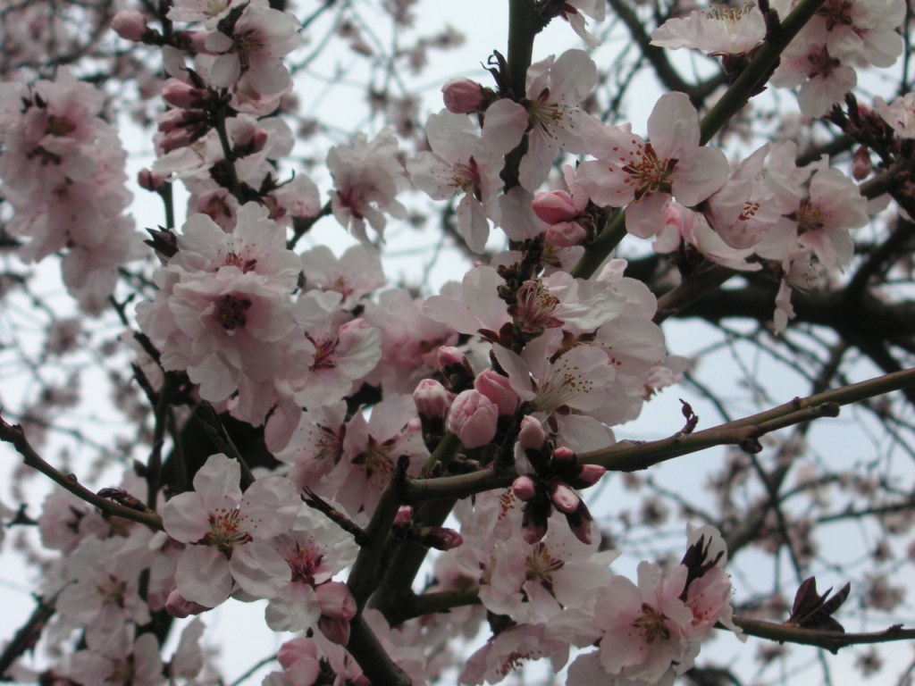 b0040048_1224611.jpg