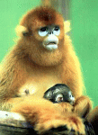 b0015869_103738.gif