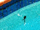 d0020685_1328076.jpg