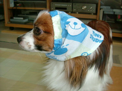 c0044199_1515171.jpg