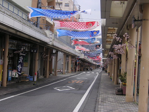 a0024005_12295165.jpg