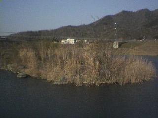 c0001632_2173647.jpg
