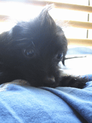 b0035453_4511485.gif