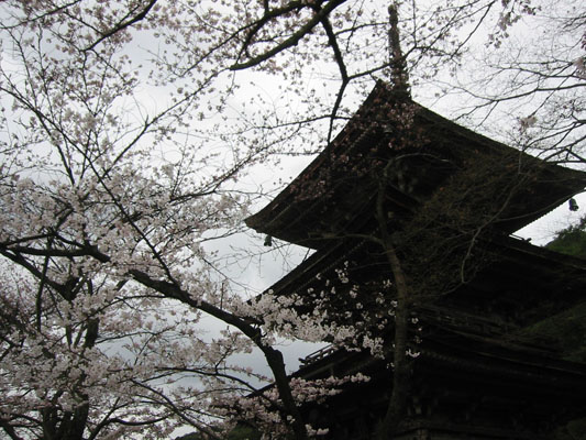 d0012960_2332950.jpg