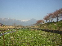 a0034487_1522417.jpg