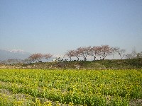 a0034487_1524251.jpg