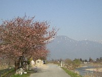 a0034487_15291576.jpg