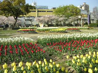a0018200_22362011.jpg
