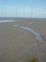 b0038008_20441082.jpg