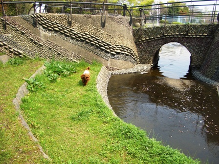 d0001509_21383697.jpg