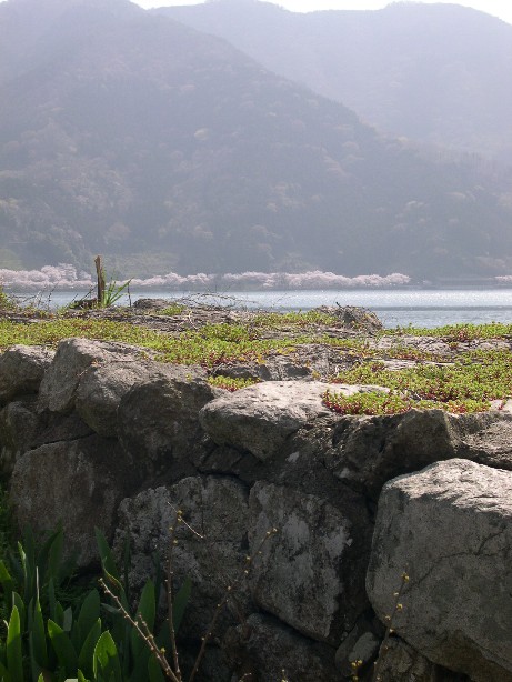 b0018112_636071.jpg