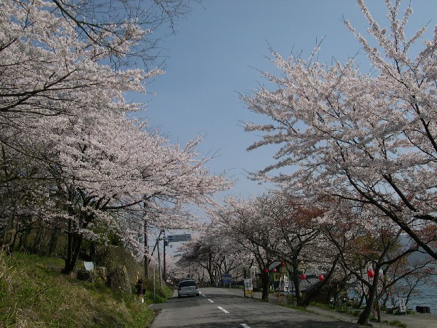 b0018112_6363516.jpg
