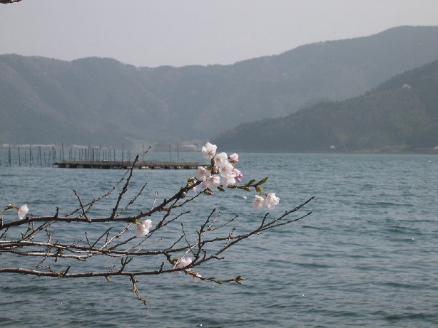 b0018112_637178.jpg