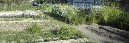 b0003613_13144666.jpg