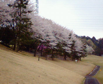 b0052816_154029.jpg