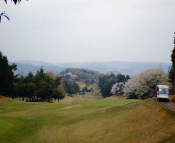 b0052816_155265.jpg