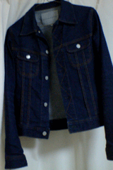 a0005321_2123193.gif