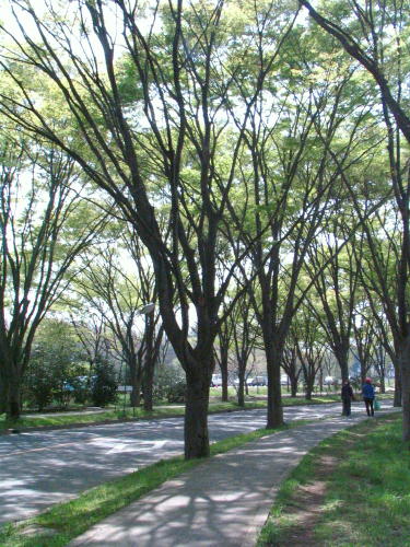 b0037323_1828752.jpg