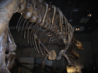 a0002447_21465666.jpg