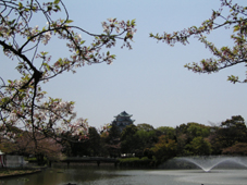 c0069552_23495593.jpg