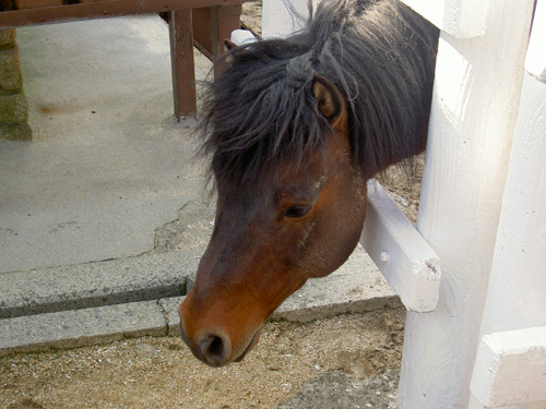 c0035874_0183022.jpg