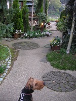 a0035678_23572841.jpg