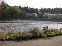 a0035678_23594327.jpg