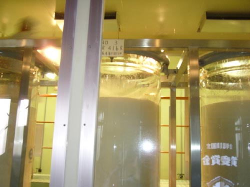 c0059278_1129286.jpg