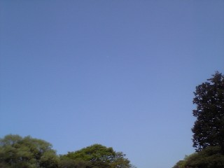 c0058187_2138082.jpg