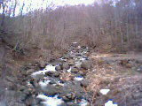 a0028803_15392274.jpg