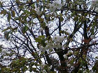 b0051713_2282720.jpg