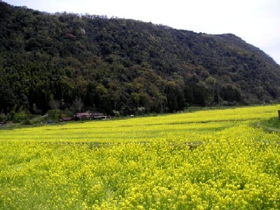d0025414_14502069.jpg