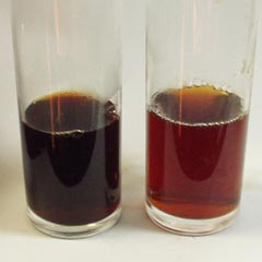 c0036617_11263430.jpg