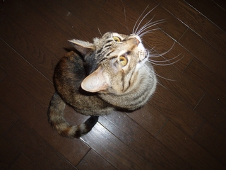 a0027720_16442458.jpg