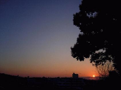 d0027320_2211672.jpg